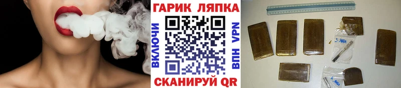 наркотики  Порхов  Гашиш Cannabis 