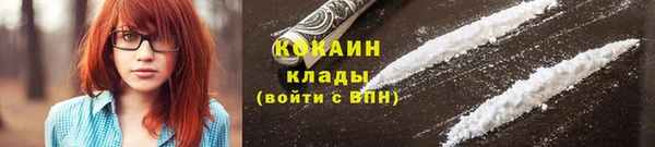 гидра Арсеньев