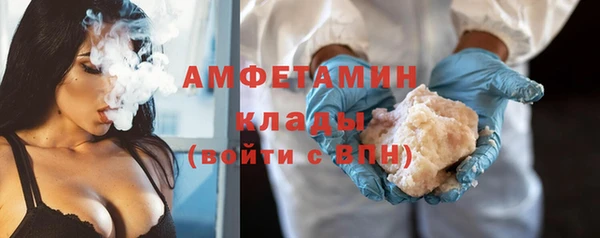 гидра Арсеньев