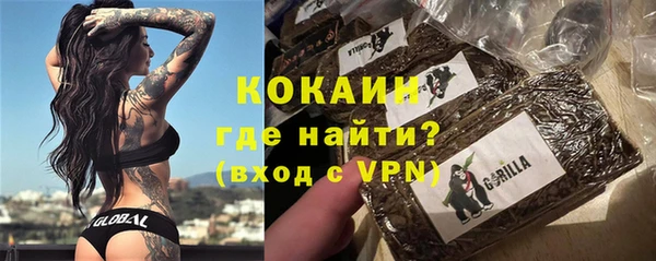 гидра Арсеньев