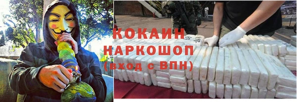 кокс Алексин