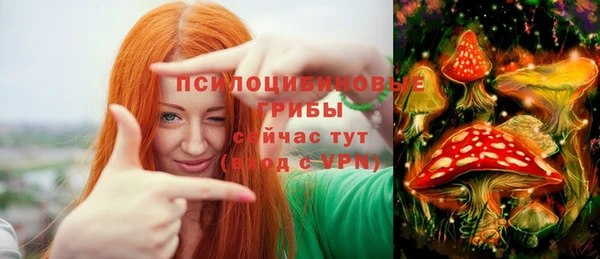гидра Арсеньев