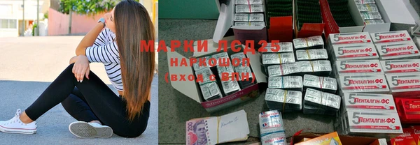 эйфоретик Аркадак