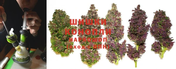 гидра Арсеньев