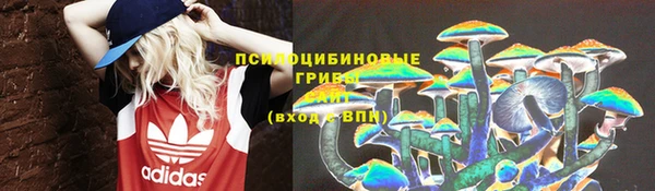 гидра Арсеньев